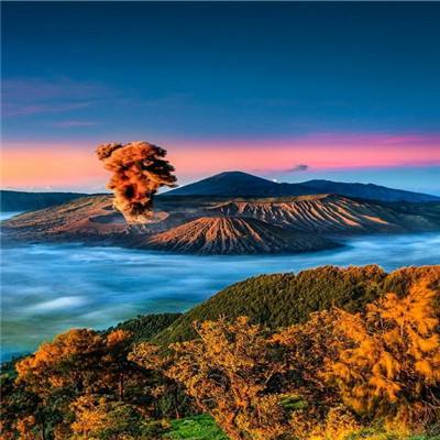 古兽世界官方正版(暂未上线)v1.0 安卓版
